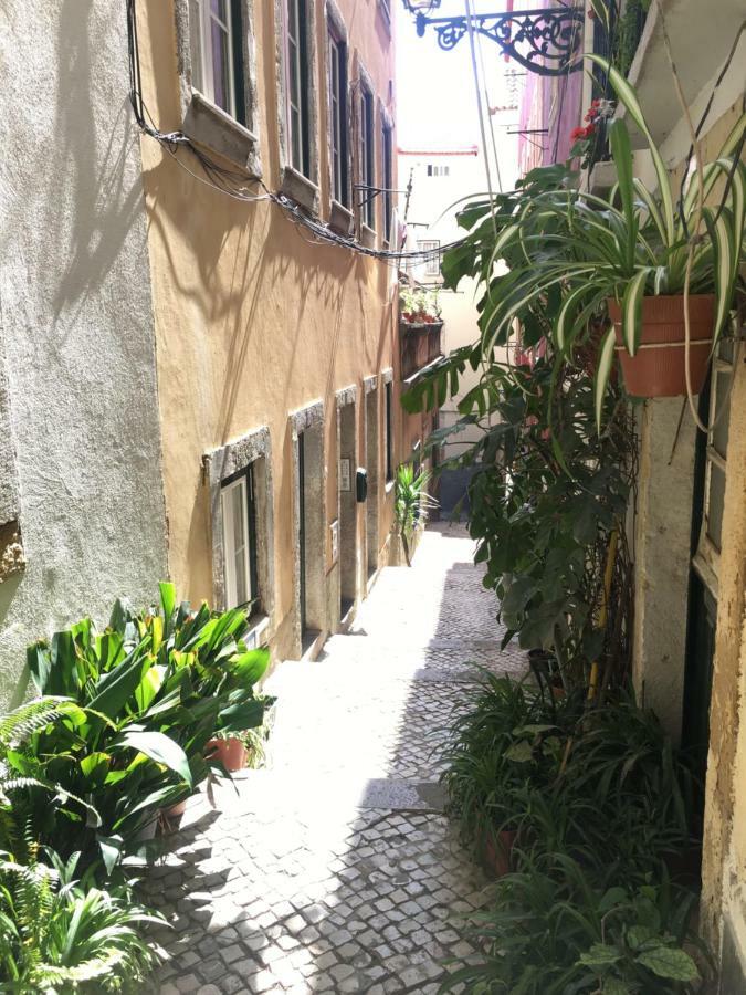 Casa Da Saudade, A Cozy Apartment In Alfama Lisboa Eksteriør billede